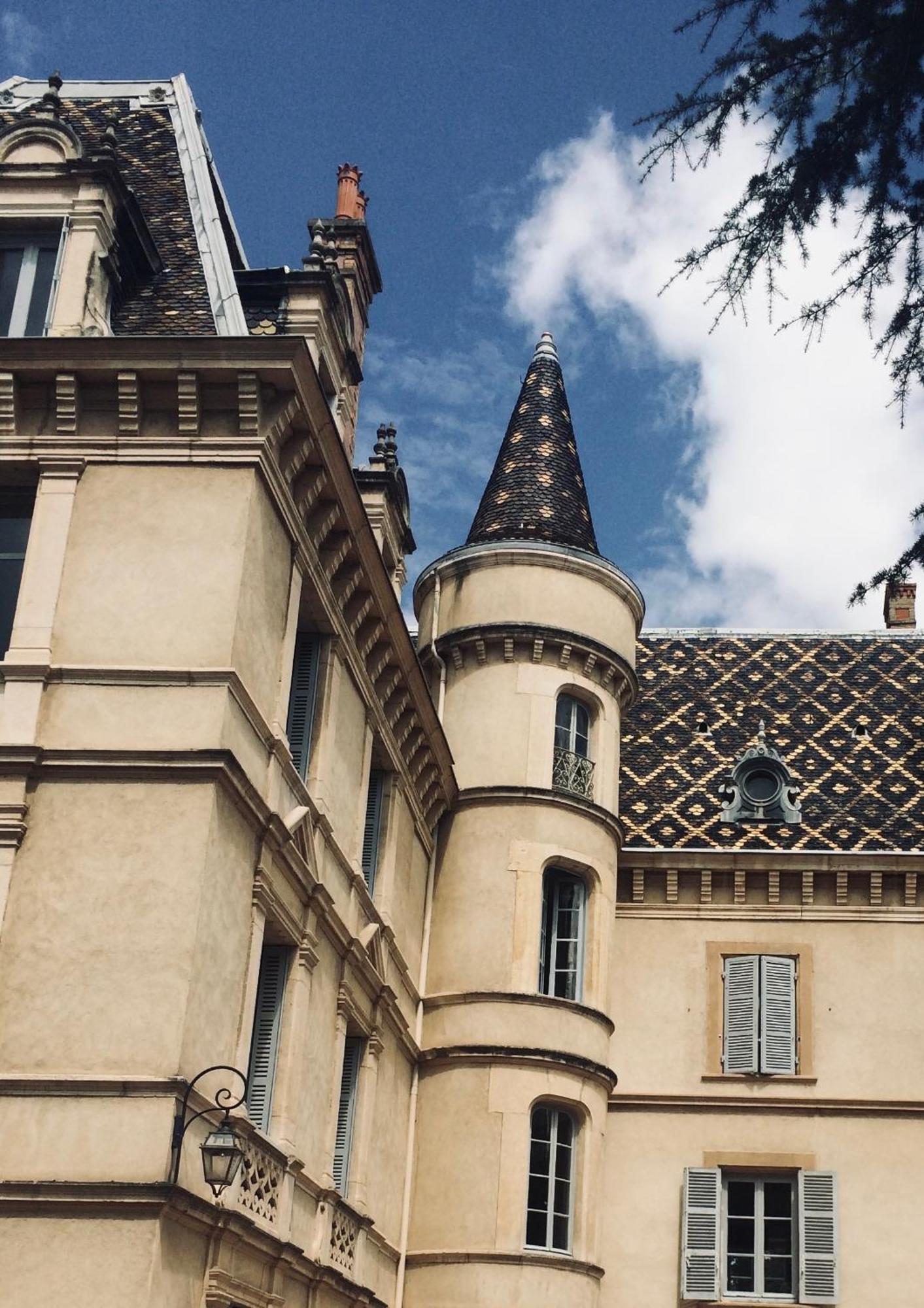 Appartement Château Randin Écully Exterior foto